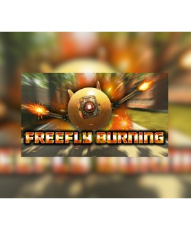 FreeFly Burning Steam Key GLOBAL